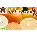 柑橘 詰合せ 2.5kg+250g 痛み補償分