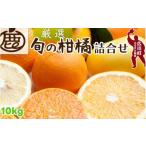 柑橘 詰合せ 10kg+250g 痛み補償分