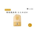 米 令和6年度産 ひとめぼれ 5kg