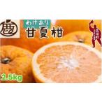 甘夏柑 2.5kg+250g 痛み補償分