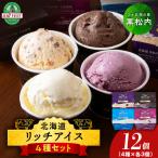 リッチアイスクリーム 12個セット 100ml