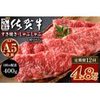 \とろける佐賀牛 ブランド牛 霜降り 極上