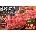 \とろける佐賀牛 ブランド牛 霜降り 極上