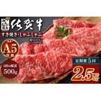 \とろける佐賀牛 ブランド牛 霜降り 極上