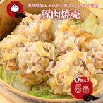 職人が包む ぎゅっと肉感 台湾焼売 小籠包茶樓