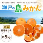 瀬戸内海の島みかん 秀品 約5kg