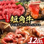 すき焼き しゃぶしゃぶ用 牛肉 もりおか短角牛
