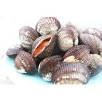 赤貝 光の天然赤貝 1kg