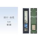 短冊 朝顔 FN-Limited-SP