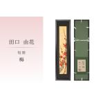 短冊 梅 FN-Limited-SP
