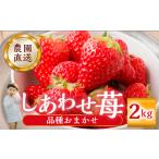 品種おまかせ いちご2kg 1kg