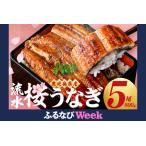 ふるさと納税 【ふるなびWEEK対象】柳澤 流水桜 うなぎ 蒲焼き 5尾(600g) FN-Limited-PR a5-351 鹿児島県志布志市