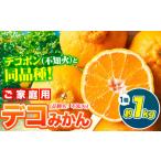 デコみかん 訳 1kg