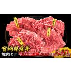 ふるさと納税 宮崎県産 黒牛 焼肉 赤身 牛肉 焼肉セット ロース 肩ロース 三角バラ モモ 3点盛り 840g(280g × 3パック)焼肉用 肉 お肉 牛.. 宮崎県えびの市