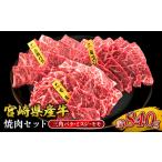 ふるさと納税 宮崎県産 黒牛 焼肉 赤身 牛肉 焼肉セット 三角バラ ミスジ モモ 3点盛り 840g(280g × 3パック)焼肉用 肉 お肉 牛 国産牛 .. 宮崎県えびの市
