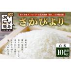 先行受付 生産者直送 さがびより 白米10kg