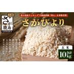 先行受付 生産者直送 さがびより 玄米10kg