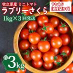 ミニトマト 3kg
