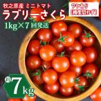 ミニトマト 7kg