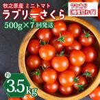 ミニトマト 3.5kg