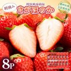 最高級品質”さがほのか” 1.9kg