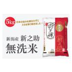 ふるさと納税 無洗米 新潟産 新之助5kg 令和6年産 精米 新潟県