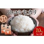 米 コシヒカリ 訳あり 約 10kg