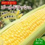 訳あり スイートコーン ゴールドラッシュ 5本