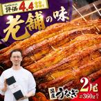九州産 うなぎ 蒲焼 2尾