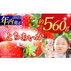 ふるさと納税 【栃木県共通返礼品】【2025年先行予約】とちあいか 280g×2P| 年内発送 果物 くだもの フルーツ 野菜 やさい ヤサイ 苺 イ.. 栃木県那珂川町