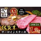 \極上のご褒美肉 佐賀牛サーロインステーキ 200g×2枚