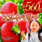 スカイベリー 280g×2P