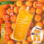 まる搾りみかんジュース ボックスA 1 000ml×2本