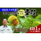 季節の花材 栗枝 1本