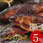 鮎の姿煮 5尾