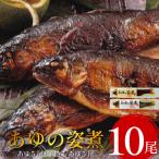 鮎の姿煮 10尾