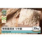 ふるさと納税 令和7年産 つや姫 玄米 【4月上旬発送】ks-tsgxa30 山形県大石田町