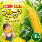 2026年11月~ イエロー種 10本