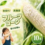 2026年11月~ ホワイト種 10本
