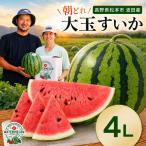 fu.... налог Matsumoto город волна рисовое поле производство большой шар ...4L Nagano префектура Matsumoto город 