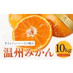 温州みかん 約10kg