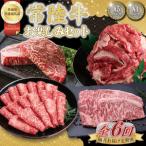 ふるさと納税 【6回定期便】最高級A4.5ランク常陸牛 お楽しみセット【茨城県共通返礼品】│常陸牛 ひたち牛 牛肉 ロース 肩ロース スライス もも.. 茨城県取手市
