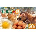 fu.... налог [....] овощи . еда ..... flat ... яйцо [ клен яйцо ](30 штук входит )[154T02] префектура Aichi город Komaki 