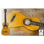 fu.... налог роман tik гитара Ishikawa префектура Komatsu город 