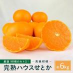 柑橘の大トロ 完熟ハウスせとか 6kg