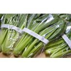 fu.... налог YT10-25B [ золотой рисовое поле сельское хозяйство .] Shinshu. . овощи шпинат комацуна примерно 2kg пестициды * химия удобрение ........ овощи земля изначальный ребенок ... . еда тоже использование // иметь машина ... Nagano префектура сосна река блок 