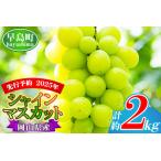 シャインマスカット 約2kg