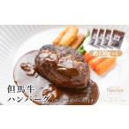 J18 但馬牛 ハンバーグ 4個