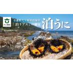 泊うに 甘塩うに 60g