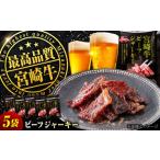 宮崎牛ビーフジャーキー30g×5パック